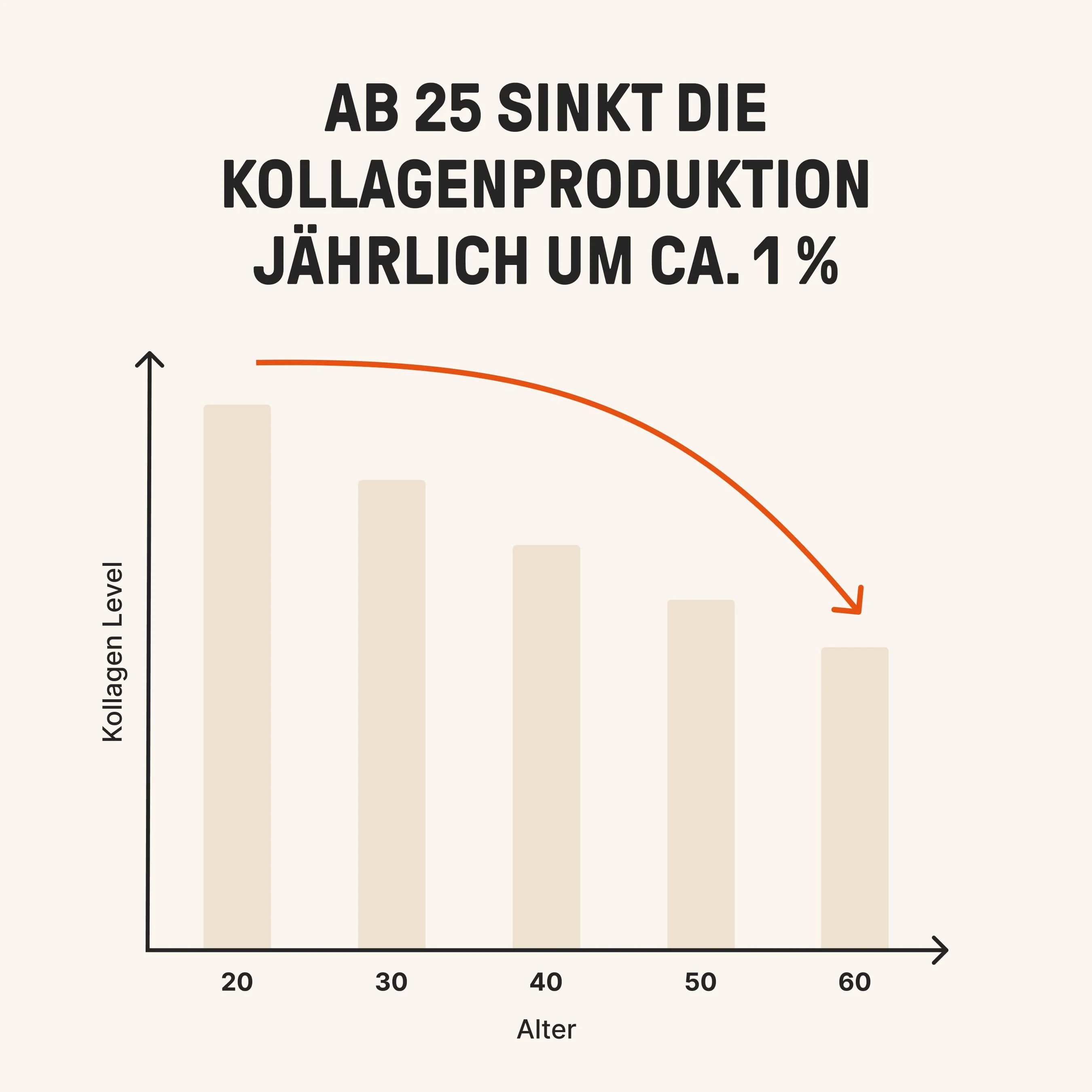 Daily Gut + Collagen Hazelnut - Image 4