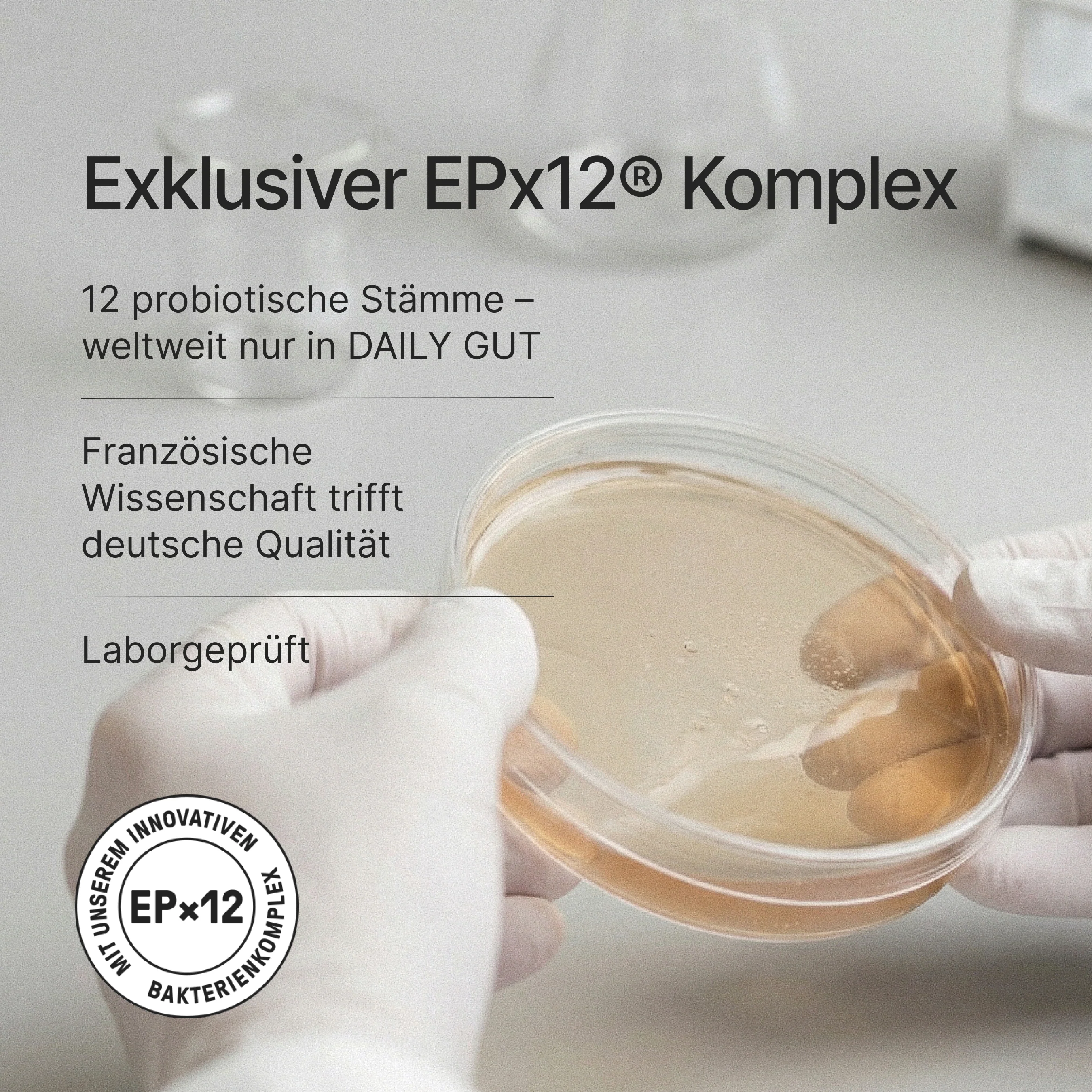 Daily Gut - Image 8