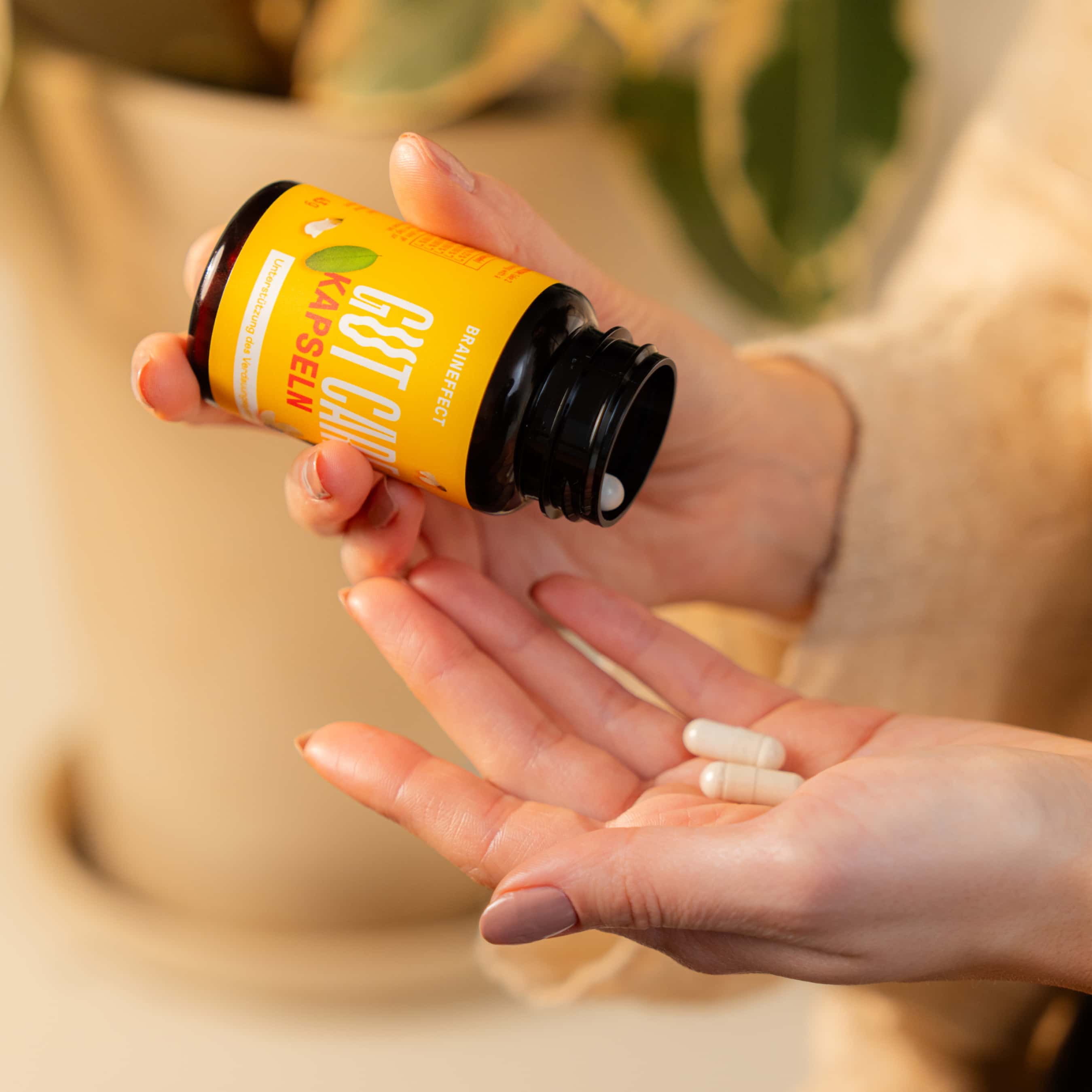 Gut Care Kapseln - Image 4