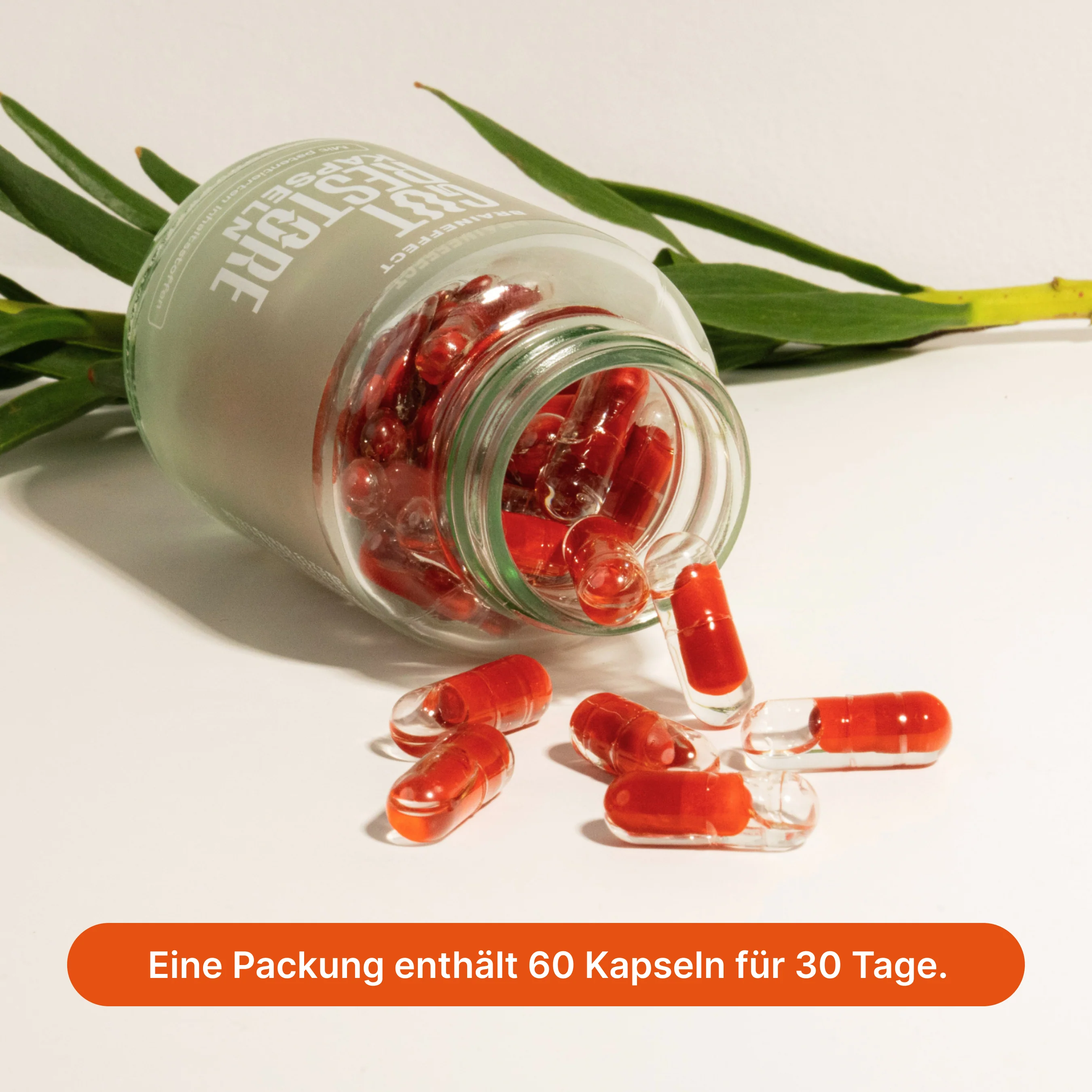 Gut Restore - Image 5