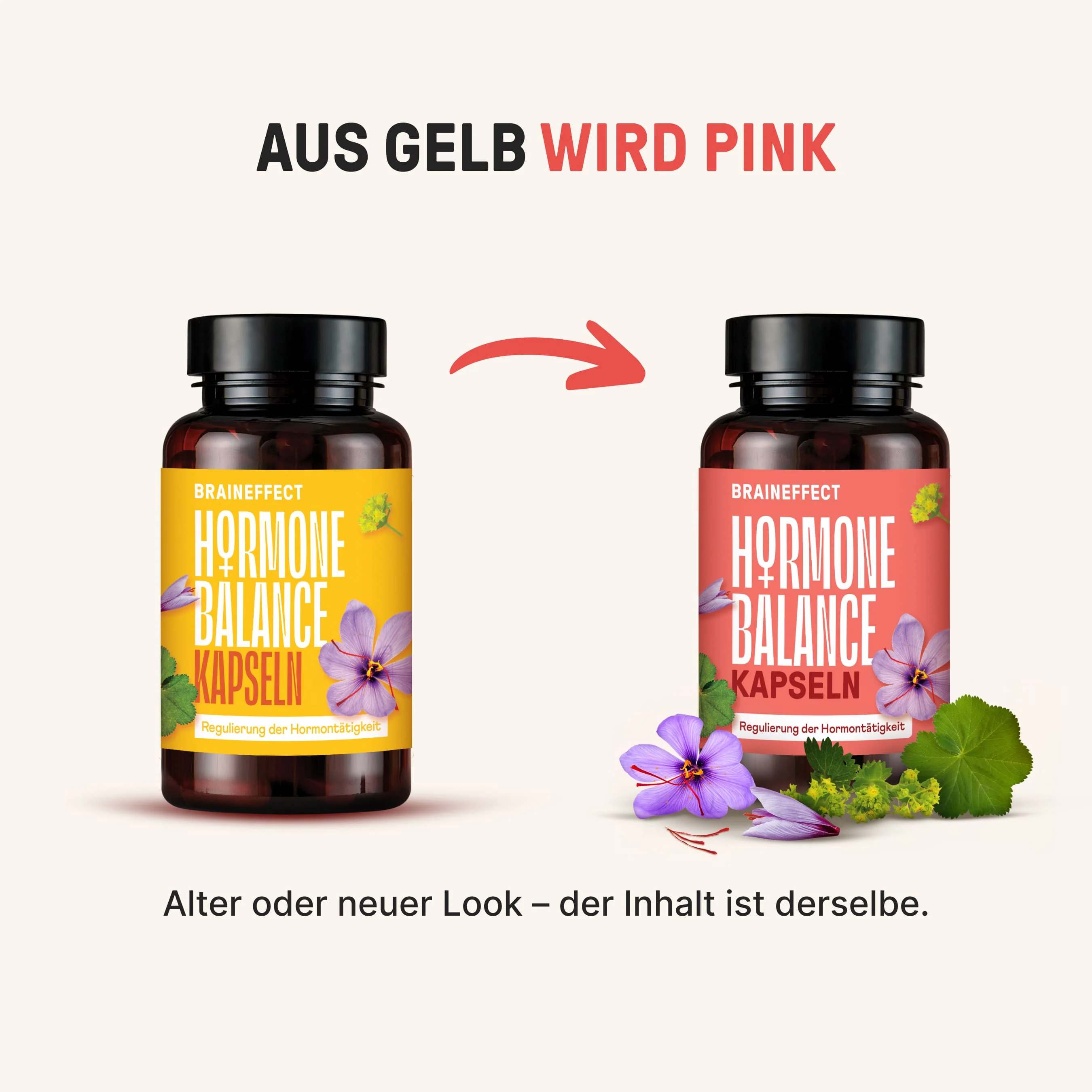 Hormone Balance Kapseln - Image 3